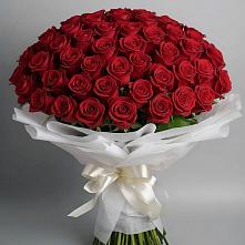 Букет 101 Красная роза Блэк Мэджик в Ижморском