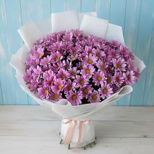 Букет цветов из:  Хризантемы в Ижморском