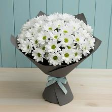 Букет цветов из:  Хризантемы в Ижморском