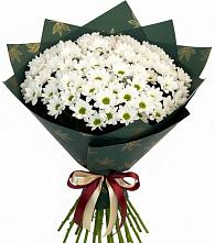 Букет цветов из:  Хризантемы в Ижморском