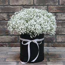 Цветочная композиция из Гипсофила в шляпной коробке в Ижморском