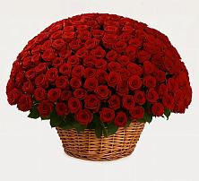 Премиум букет из: Розы в Ижморском