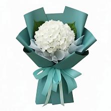Букет цветов из:  Гортензия в Ижморском